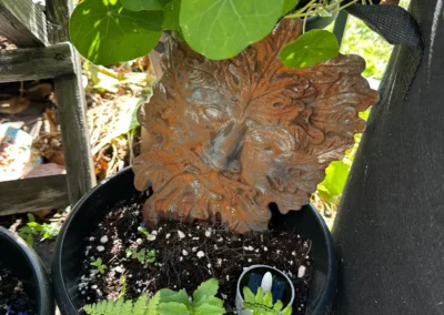 Green Man, Guardian of Toad Corner