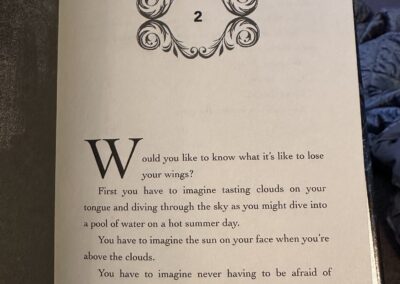 heartofthemoors hollyblack loseyourwings