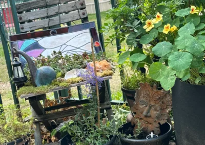 Toad corner!