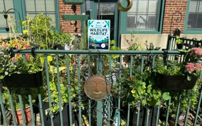 From Doomer to Bloomer: My Summer of Urban Rewilding